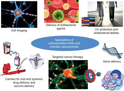 Figure 2 From Versatile Carboxymethyl Chitin And Chitosan Nanomaterials