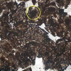 Witherite Silica Aggregates A Optical Micrograph Of A Flat Self