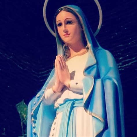 629 отметок Нравится 72 комментариев Virgen María