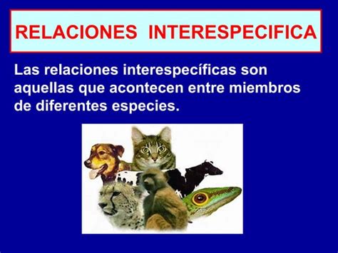 Interrelaciones Entre Los Seres Vivos Ppt