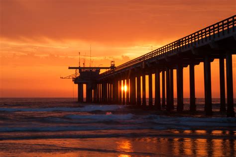 How to Explore Scripps Pier by Moonlight This Summer