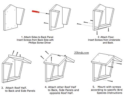 Barn Swallow Shelter Plans - 70birds Birdhouse Plans Index