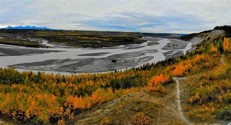 Sagavanirktok River Delta River Deltas Alaska Handbook