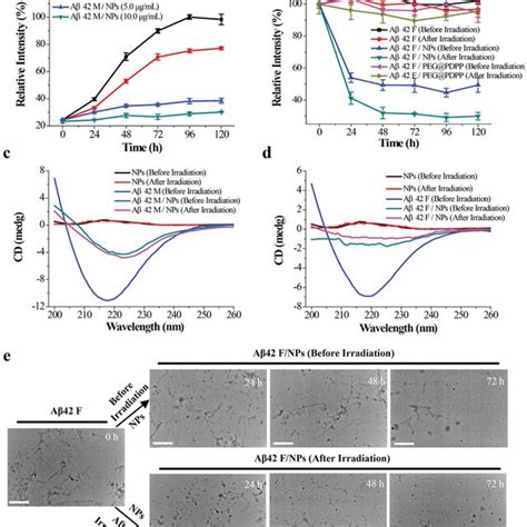 A The Assembly Route Of NPs And B Illustration Of The Inhibition And