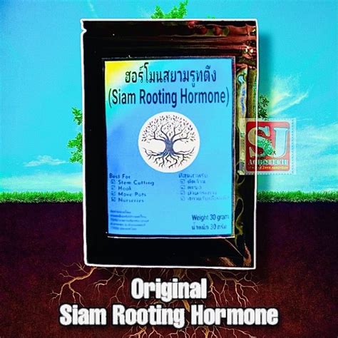 30 G Original Thailand Siam Rooting Hormonebaja Akar Hormon