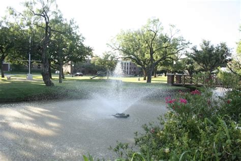 Hardin-Simmons University, Abilene, Texas - College Overview