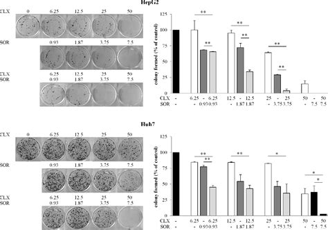 Figure 2 From Novel Combination Of Sorafenib And Celecoxib Provides