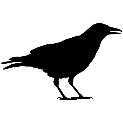 Black Crow Silhouette at GetDrawings | Free download