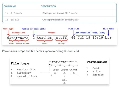 A Comprehensive Guide To Linux File Permissions CentLinux