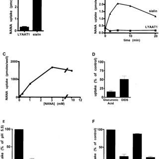 Sialin Mediates Sialic Acid Transport Radiolabeled Sialic Acid