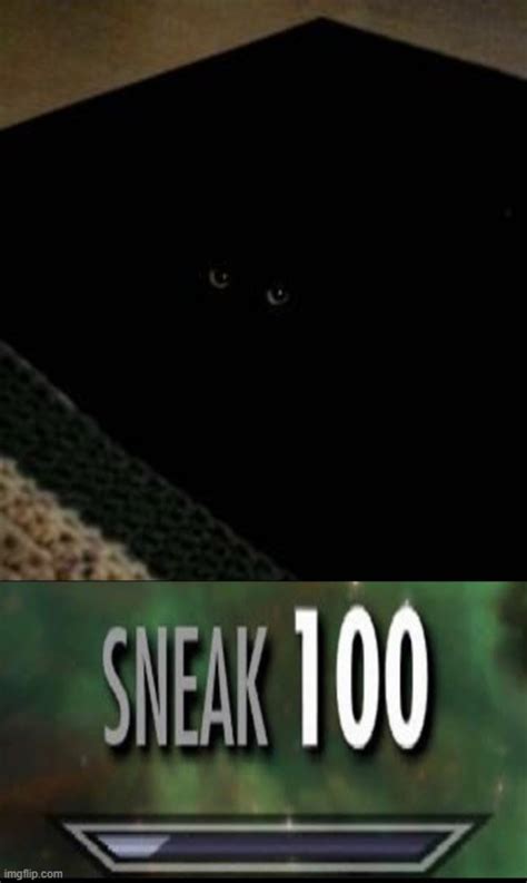 Sneak Imgflip