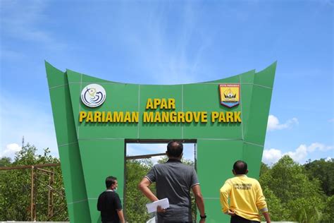 KKP Kawasan Mangrove Pariaman Dapat Menjadi Wisata Minat Khusus