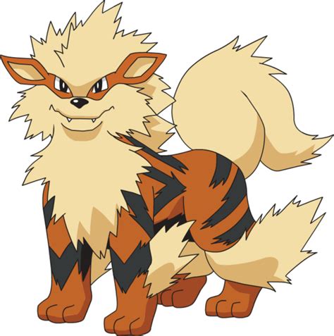 Arcanine Pokémon Fire Type Transparent PNG