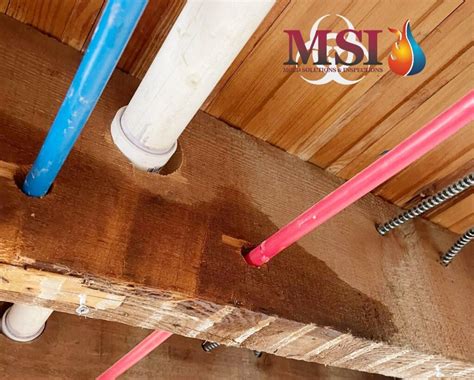 Can Pex Pipes Freeze Mold Solutions And Inspections Llc