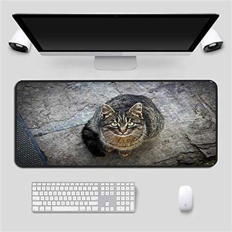 Dhsbd Muismat Gaming Grote Leuke Kat Print Muismat Voor Laptop Computer