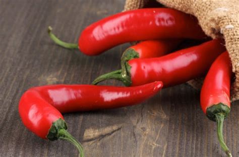 Острый перец на зиму: вкусные и простые рецепты приготовления (с фото и ...