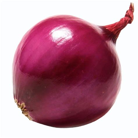 Maharashtra 30mm A Grade Red Onion At Rs 40 Kg In Deola ID 2852983398273