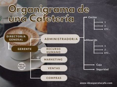 ORGANIGRAMA DE UNA CAFETERÍA 2024