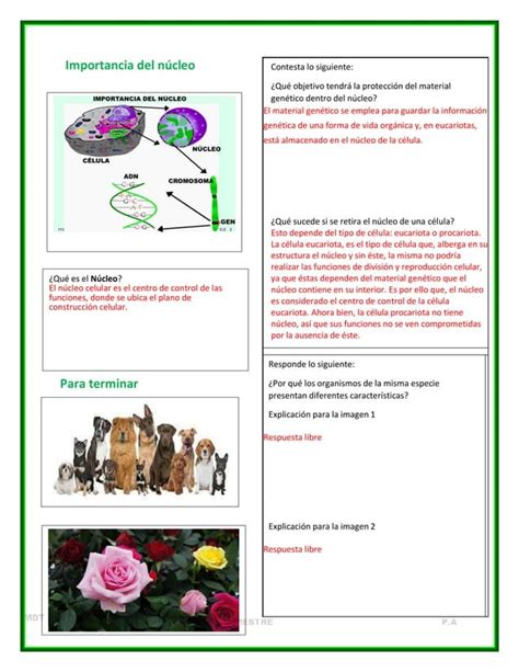 Cuadernillo Actividades Trimestre II Ciencias I PDF