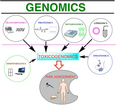 Schematic Representations Of Various Omic Technologies The Omics And