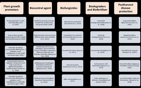 Applications of yeast in sustainable agriculture as plant growth ... 