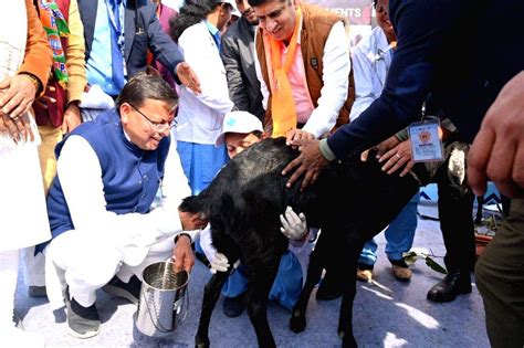 Uttrakhand Chief Minister Pushkar Singh Dhami During Nari Shakti Mahotsav