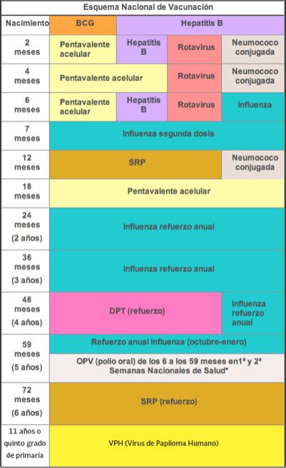 Calendario De Vacunación Infantil En México Por Edades