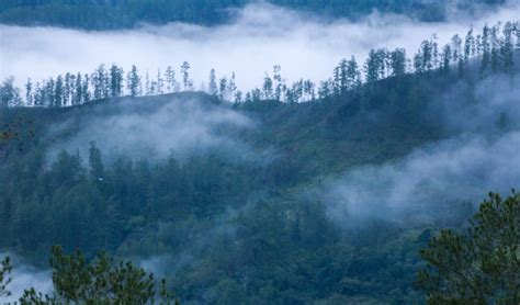 Gunung Leuser, Jalur Pendakian Terpanjang di Indonesia