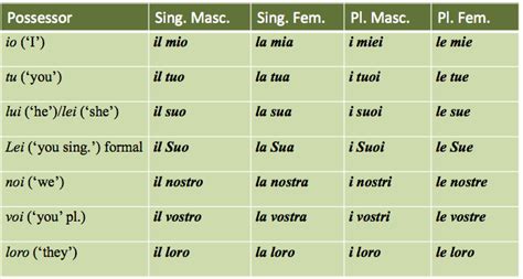 Possessive adjectives and pronouns – Italian 102 | Possessive ...