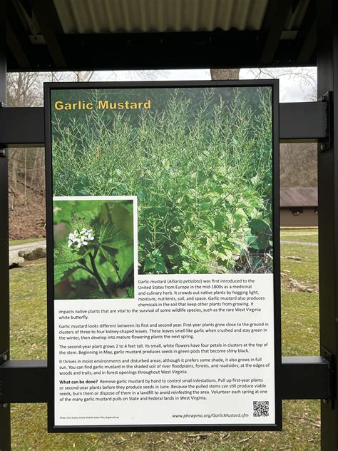 Invasive Species — Kanawha State Forest Foundation