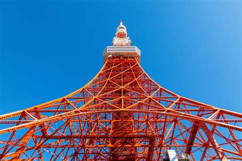 東京タワー メインデッキチケット 高級な その他