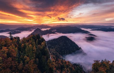 Wallpaper Autumn Forest The Sky Clouds Light Trees Sunset