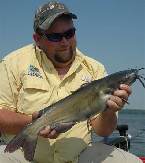 Types Of Catfish Field And Stream