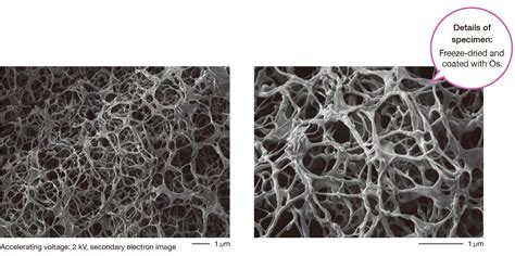 Jsm It Hr Scanning Electron Microscope Products Jeol Ltd