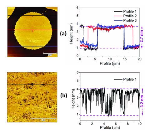 Afm Height Images Left With The Line Profiles Right Of The Lb Film