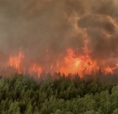 Decades Of Inaction Fuel What May Be Worst Wildfire Season Ever Says