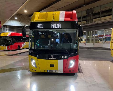 El transporte público de la red TIB y SFM será gratuito para todo el