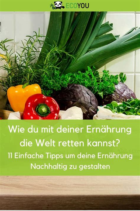 Nachhaltige Ernährung 11 Tipps für eine bessere Zukunft I EcoYou