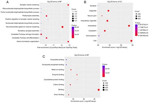 Differential Methylation Of CircRNA M6A In An APP PS1 Alzheimer S