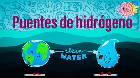 Explorando los puentes de hidrógeno el secreto del agua Tratamos el Agua