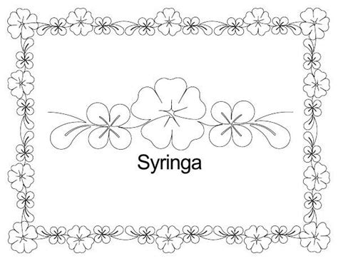 Syringa - Anne Bright Designs