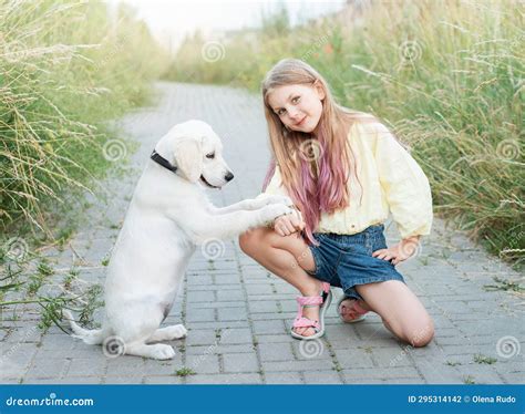 Puppy Labrador Retriever and Little Girl Stock Photo - Image of companion, children: 295314142