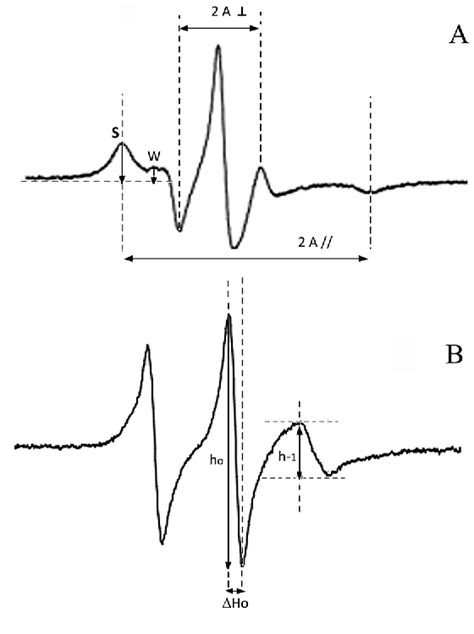 Figure From Analysis Of The Structure And Surfactant Activity Of