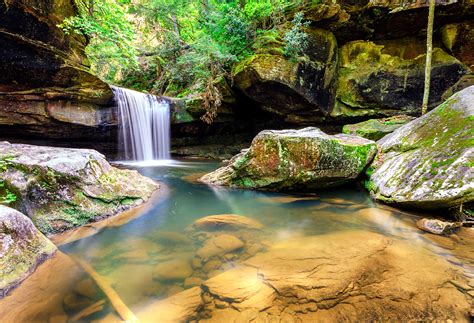 Se Permiten Perros En Cumberland Falls