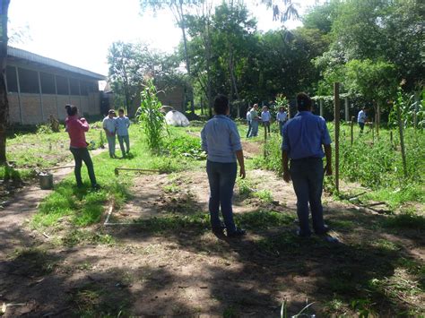 INSTITUTO POLIVALENTE NUEVO PARAÍSO Taller de Agropecuaria