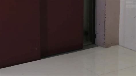 Hana Haruna Bust Can T Resist Horny Neighbour Assaul