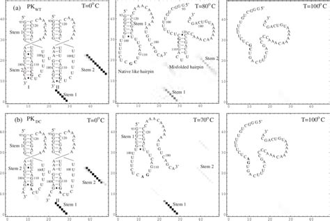 The Density Plot For The Base Pairing Probabilities And The Predicted