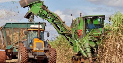 Cresce participação de fornecedores na quantidade de cana processada na