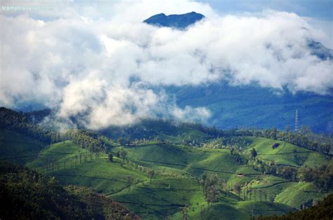 Eravikulam National Park Munnar Tramptraveller