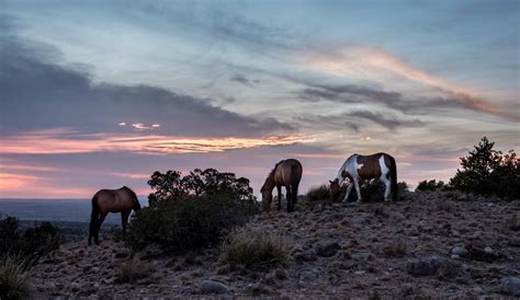 These are the Best Things To Do in Placitas, New Mexico